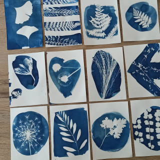 ATELIER CYANOTYPE DUO