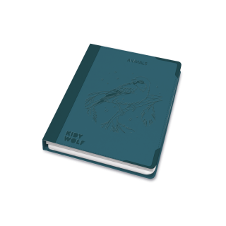 TABLETTE LUMINEUSE AVEC DESSINS A DECALQUER ANIMAUX