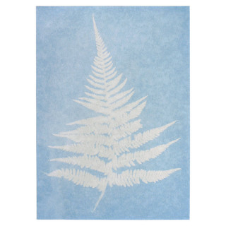 KIT DE 10 FEUILLES DE PAPIER CYANOTYPE (PHOTOSENSIBLE)