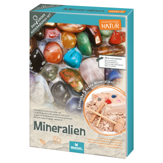 KIT DE FOUILLE DES MINERAUX