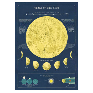 AFFICHE CAVALLINI PHASES DE LA LUNE