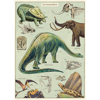 AFFICHE CAVALLINI DINOSAURES