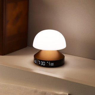 LAMPE REVEIL SIMULATEUR D AUBE