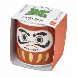 DARUMA PORTE-BONHEUR ET TREFLE A FAIRE POUSSER