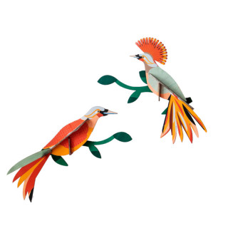 DUO D'OISEAUX DE PARADIS 3D A CONSTRUIRE